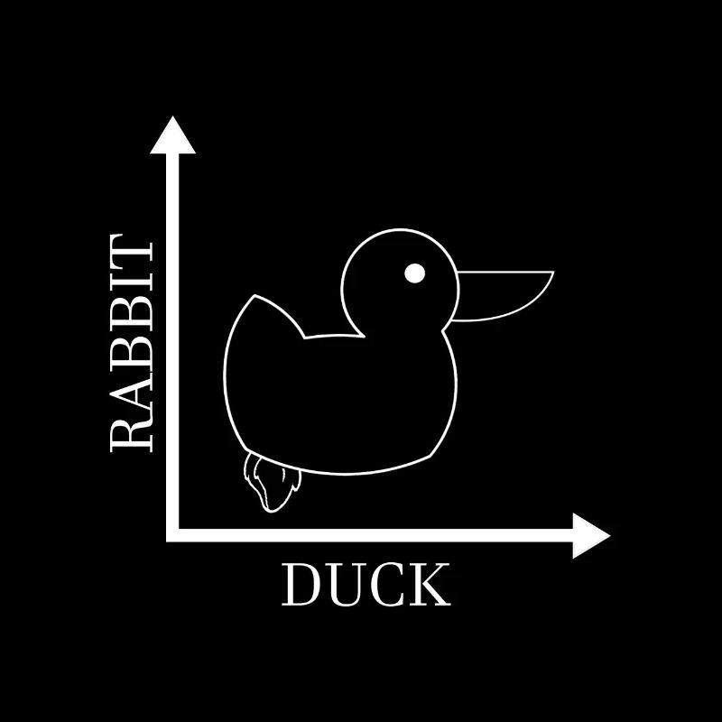 Rabbit Duck - Gone Wrong