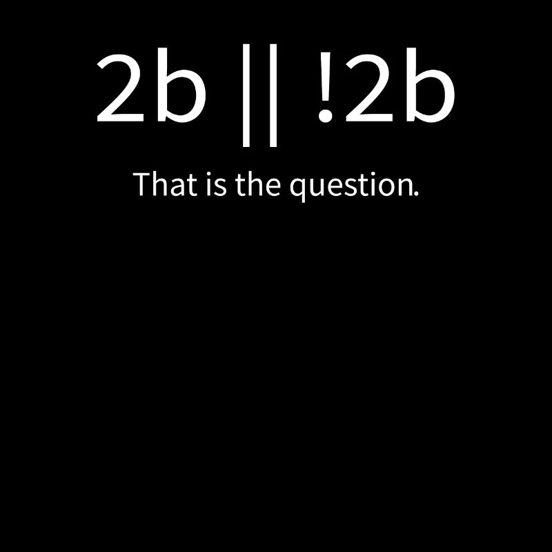 2b lustiger cooler Programmierer sein oder nicht sein