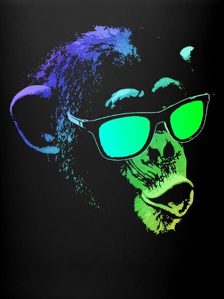 Cool Monkey