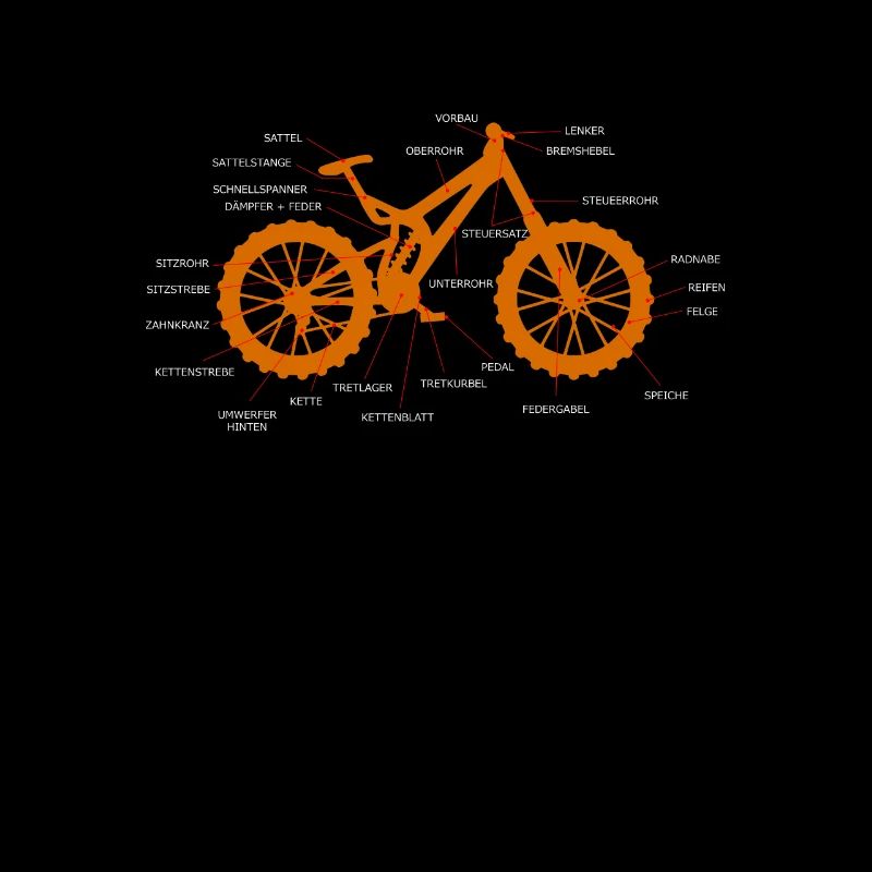 Anatomie VTT VTT allemand