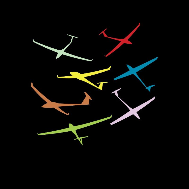 Pilote de planeur aviation