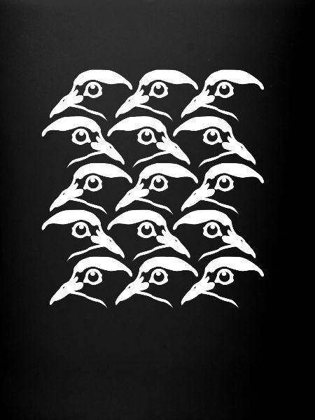 Pigeons