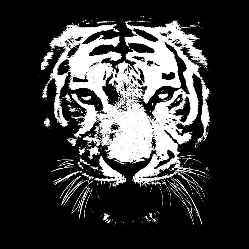 White Tiger