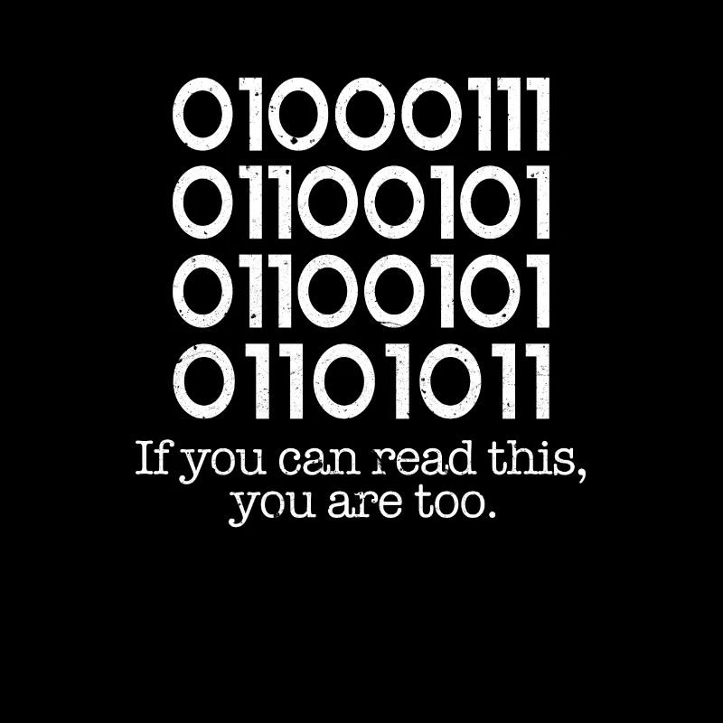 programmer