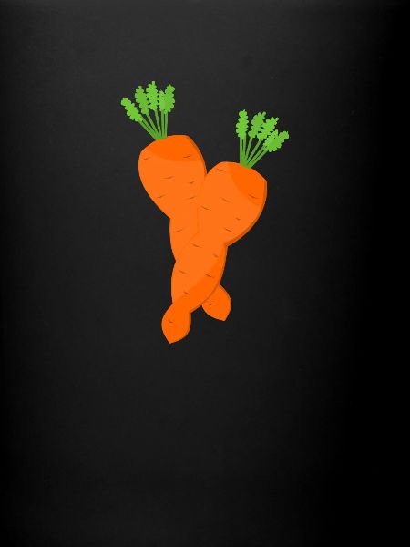 Conception de carottes