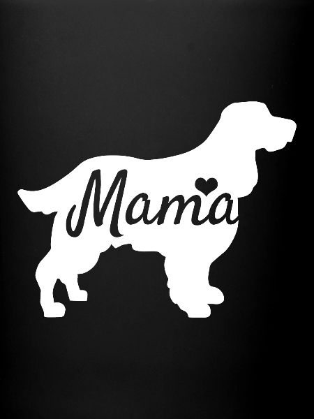 Cocker Spaniel