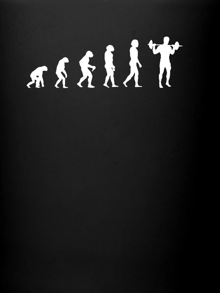 evolution of training