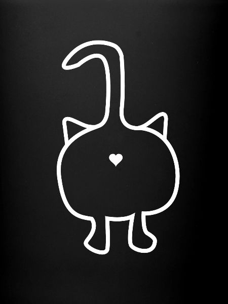 Chat par derrière