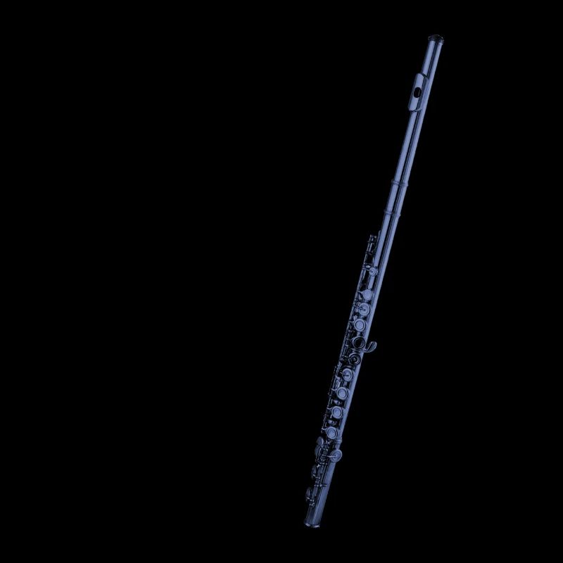transverse flute instrument
