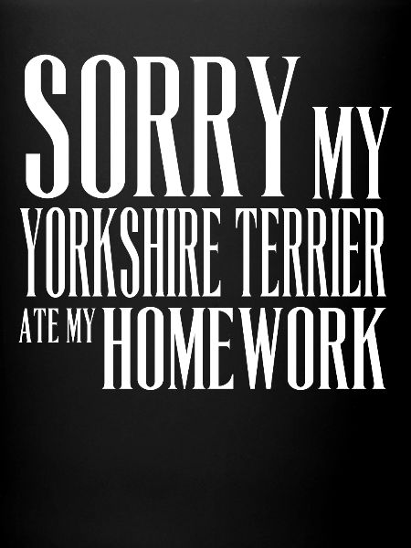 TERRIER DU YORKSHIRE