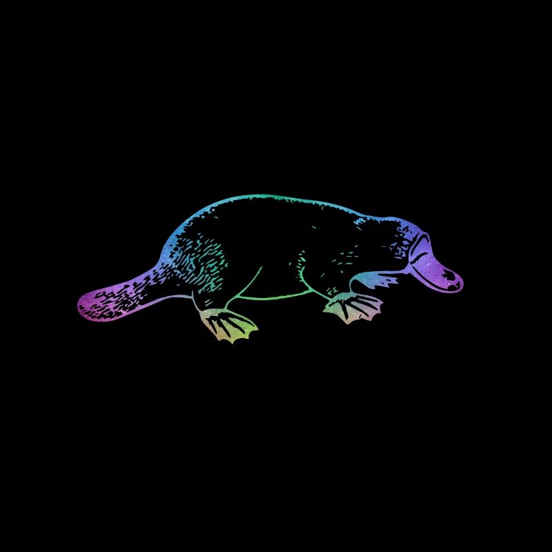Platypus platypus
