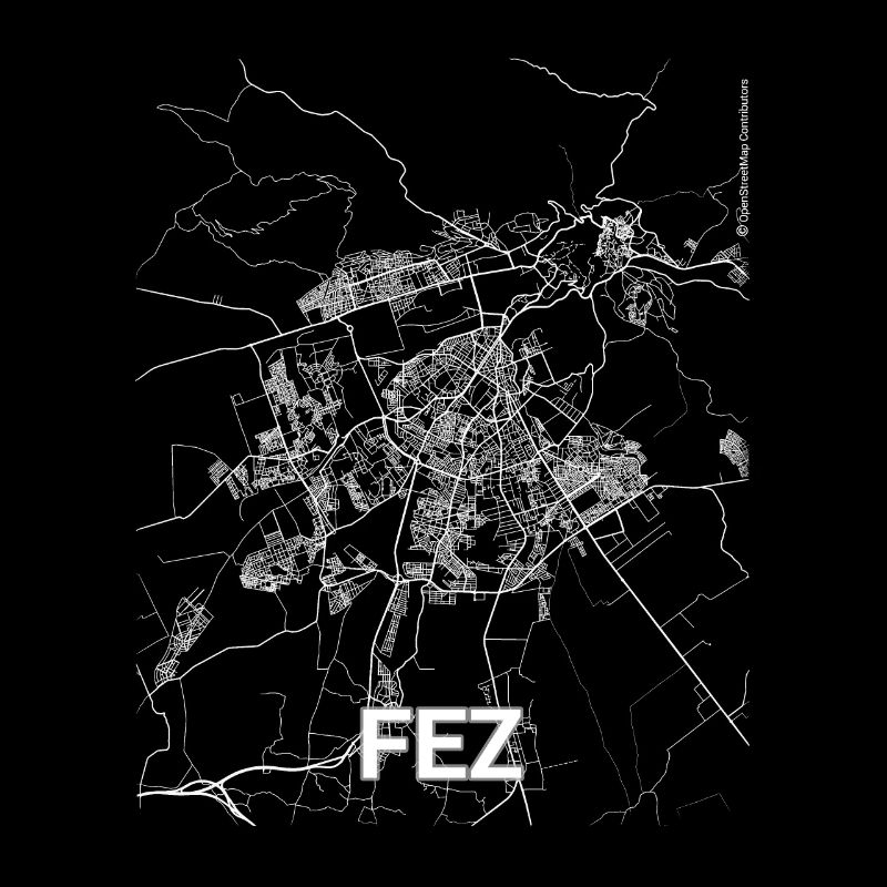 Plan de la ville et rues de Fès
