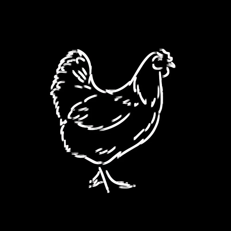 Cartoon chicken chicken