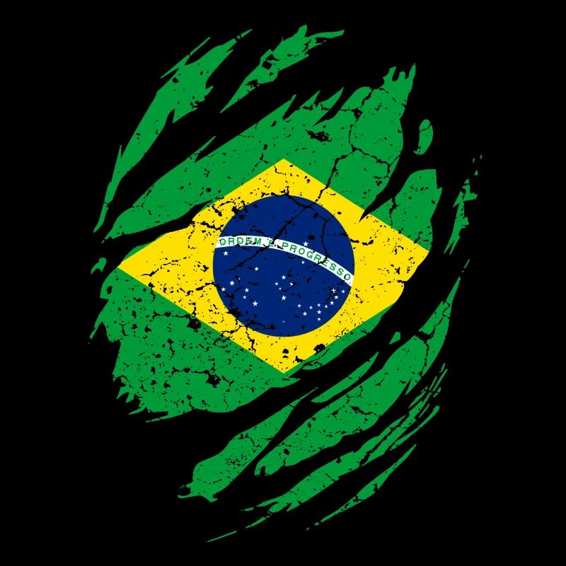 Le drapeau du Brésil