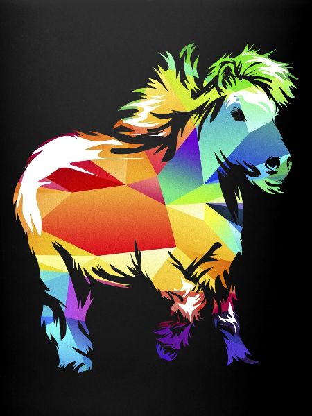 Shetland pony