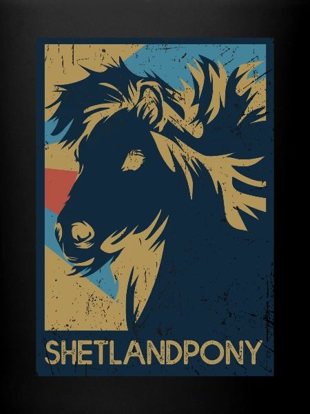 poney Shetland