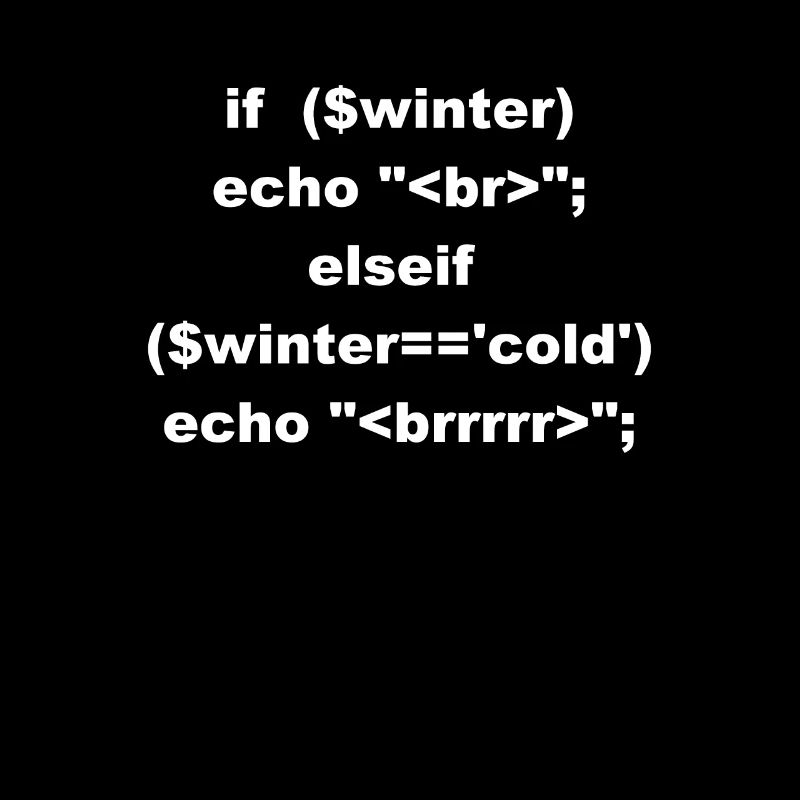 Programmers freezes in winter