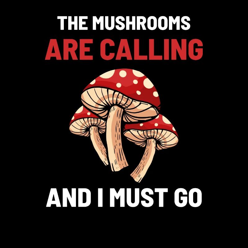 Champignons champignons observateurs