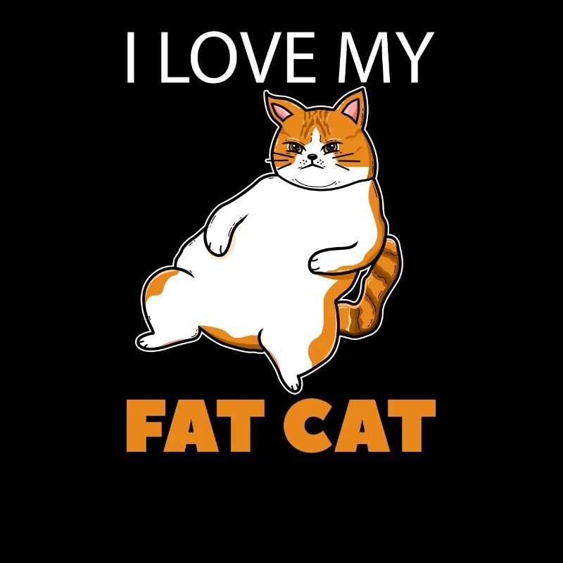 Amant de chat gros chat
