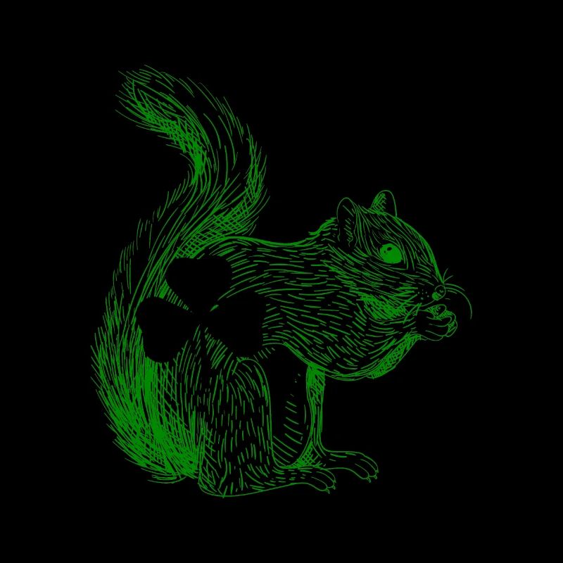Squirrel Cute animal