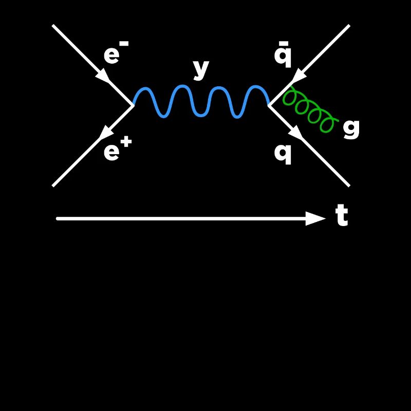 Feynman diagramme physique physicien mathématicien