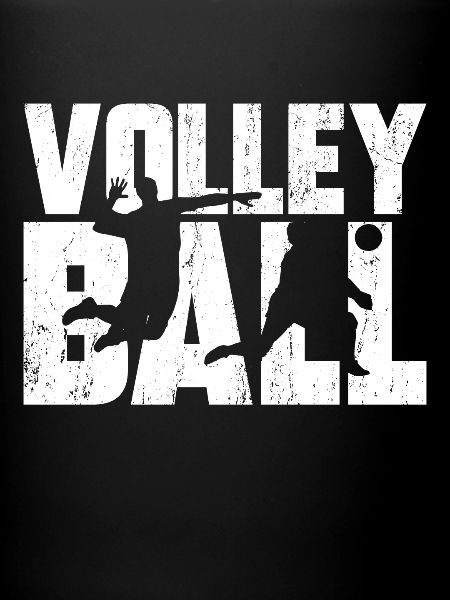 ballon de volley