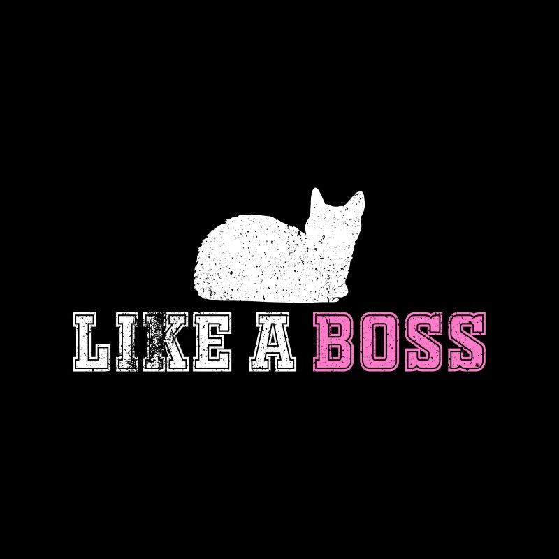 like a boss katze kätzchen kitty cat