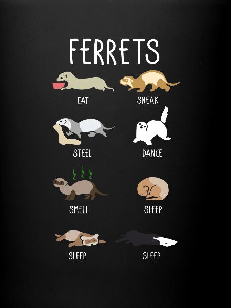 Furet