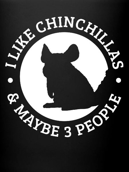 chinchilla