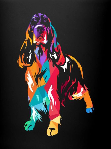 Anglais Springer Spaniel