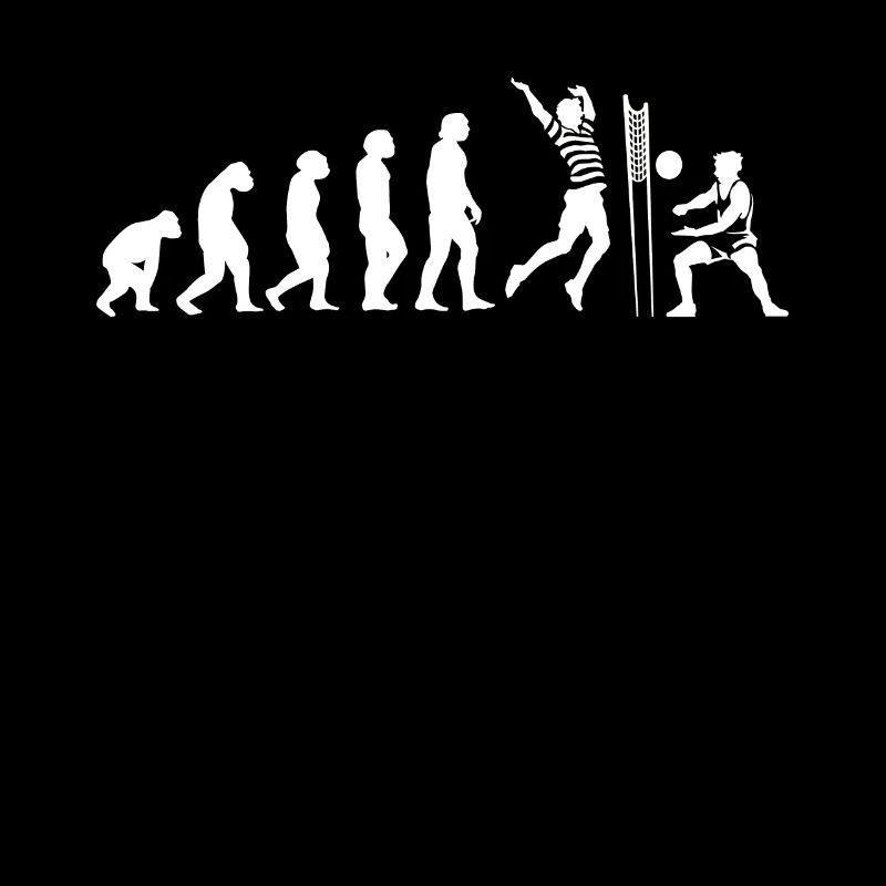 Evolution volley-ball volley-ball beach-volley