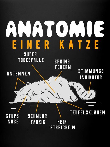 Katze
