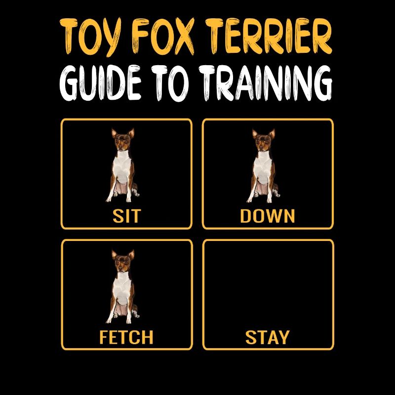 Toy Fox Terrier Guide to Training Dog Obedience