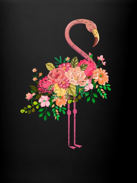 Flamingo bird