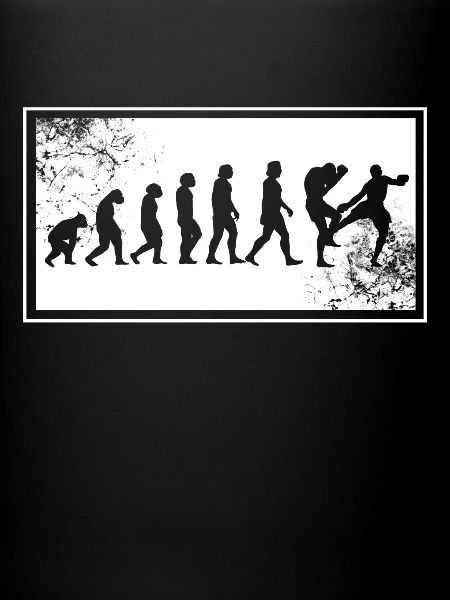 Kickboxer Evolution