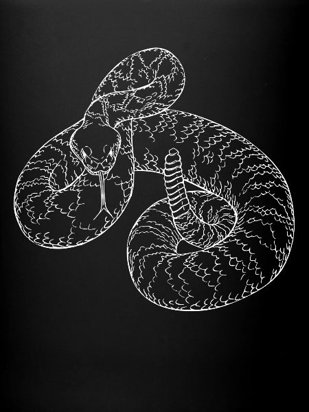 Snake rattlesnake devil