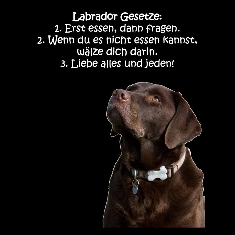Die Gesetze eines Labradors
