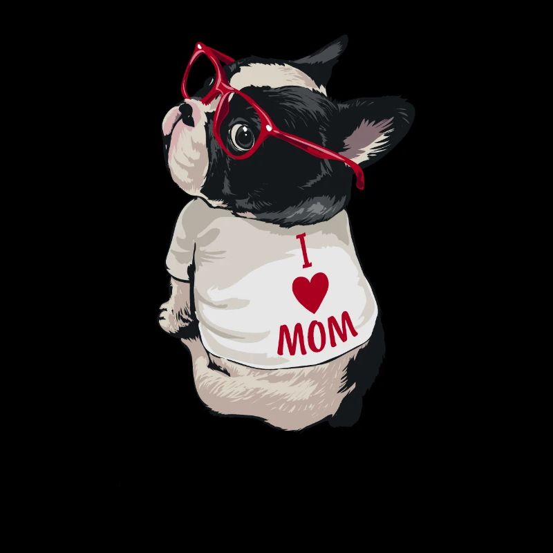 Boston Terrier