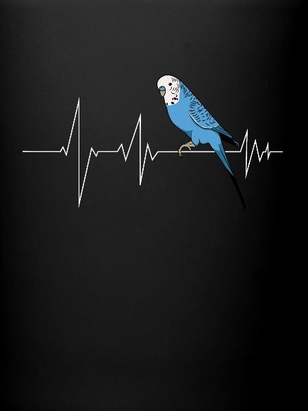 Budgie