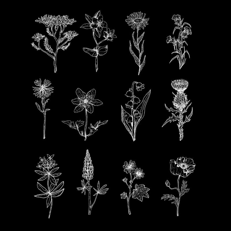 Wildflowers