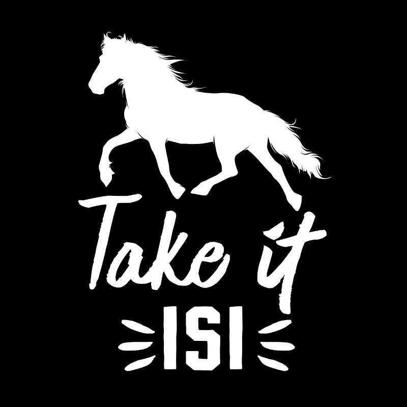 Cheval islandais Take it Isi 2