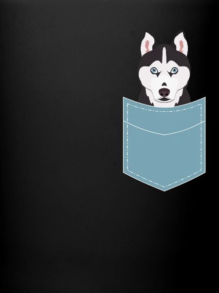 Chien Husky Sibérien Husky