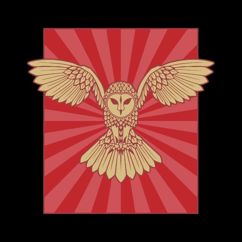 Eule Schleiereule Plakat Cooles Design