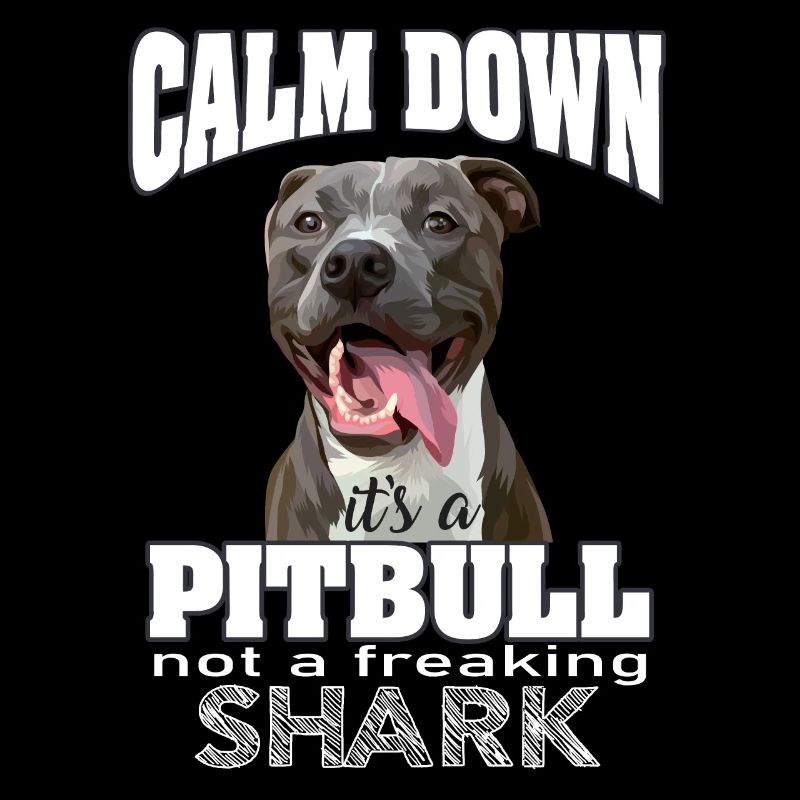 pitbull pas un requin