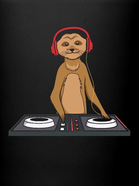 DJ suricate