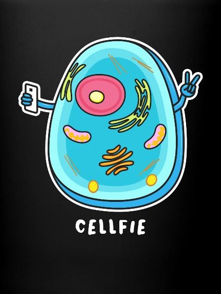 Cellfie