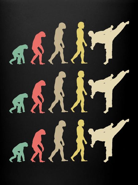 Karate Evolution - Taekwondo