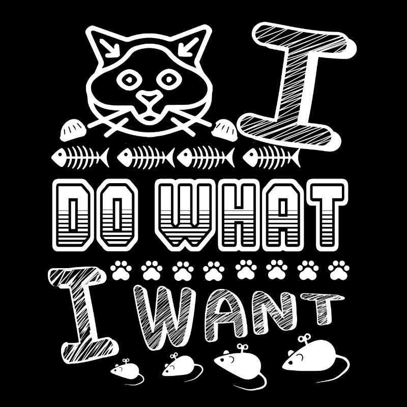 Birman Katze Birman Katze Ich mache was ich will