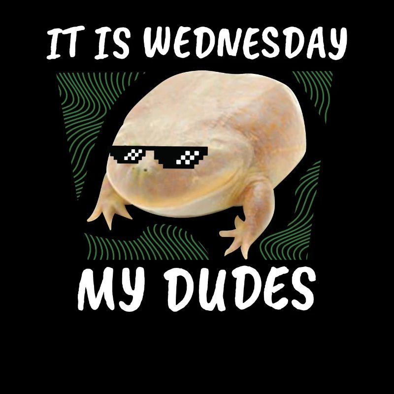 C'est mercredi mes mecs. Memes
