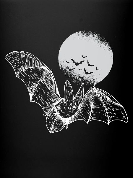 Bat Halloween chauves-souris effrayant